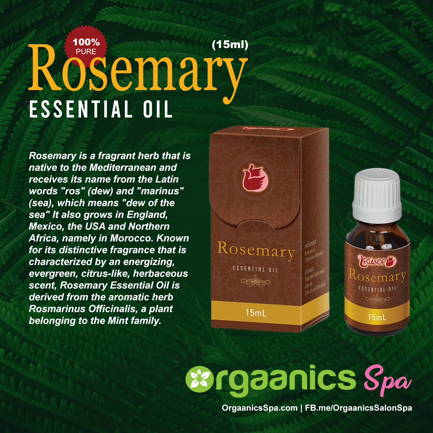 Legánde Rosemary Essential Oil