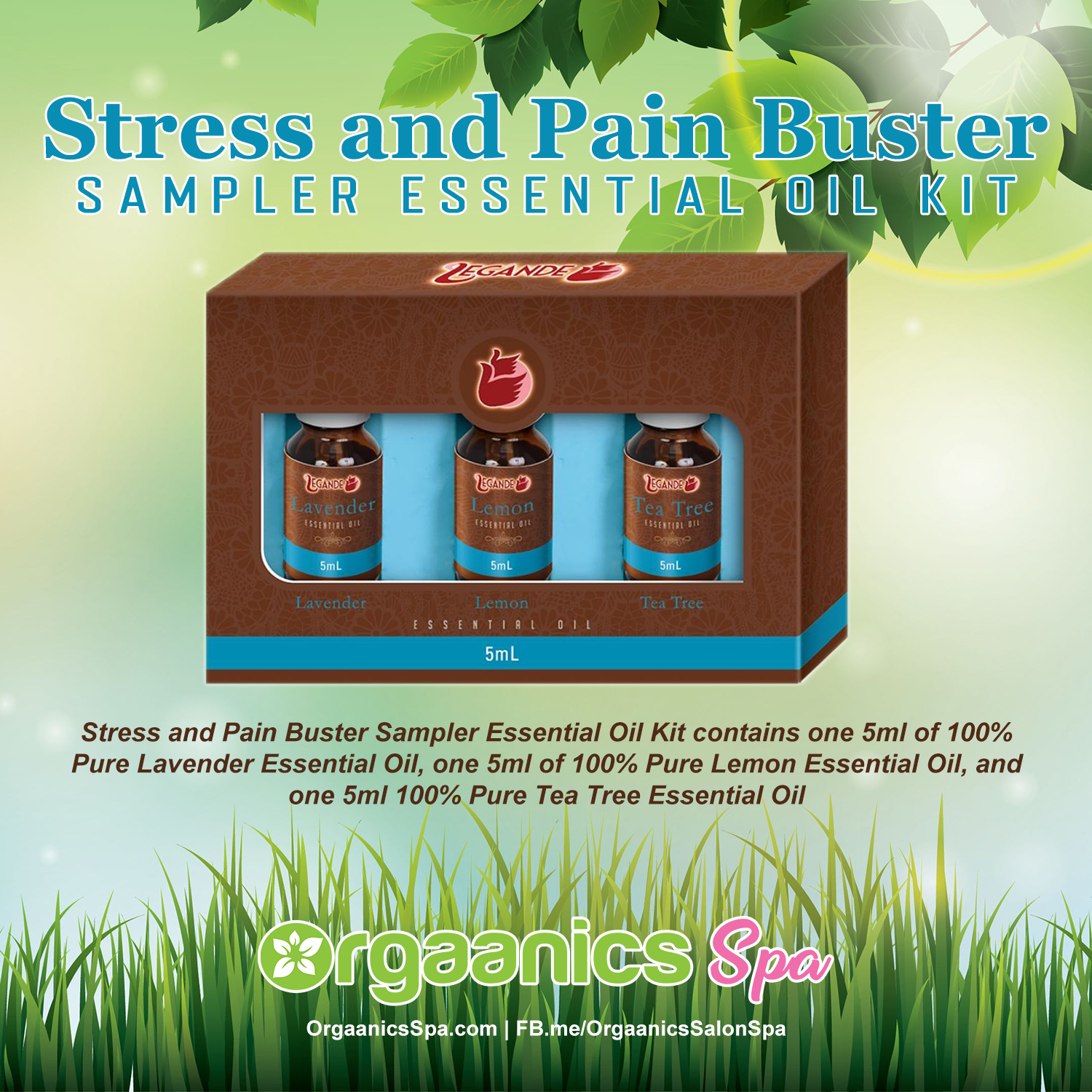 Stress and Pain Buster Sampler Essential Oil Kit